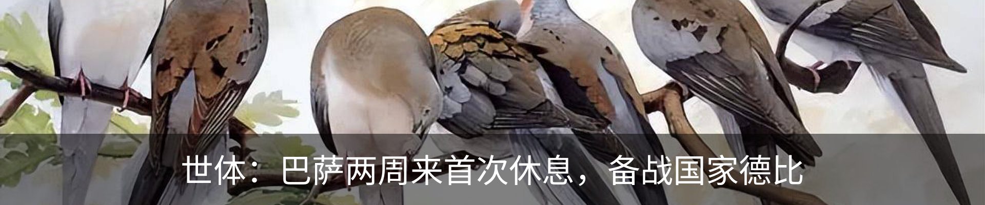 资讯动态