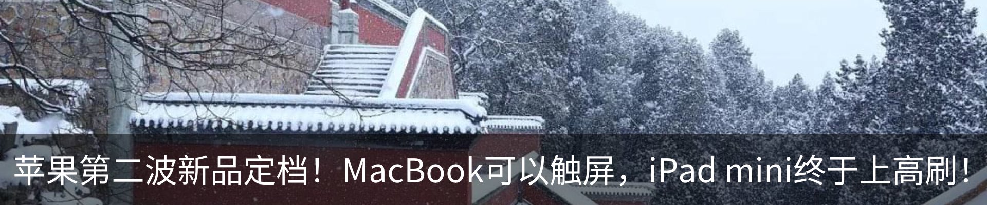 资讯动态